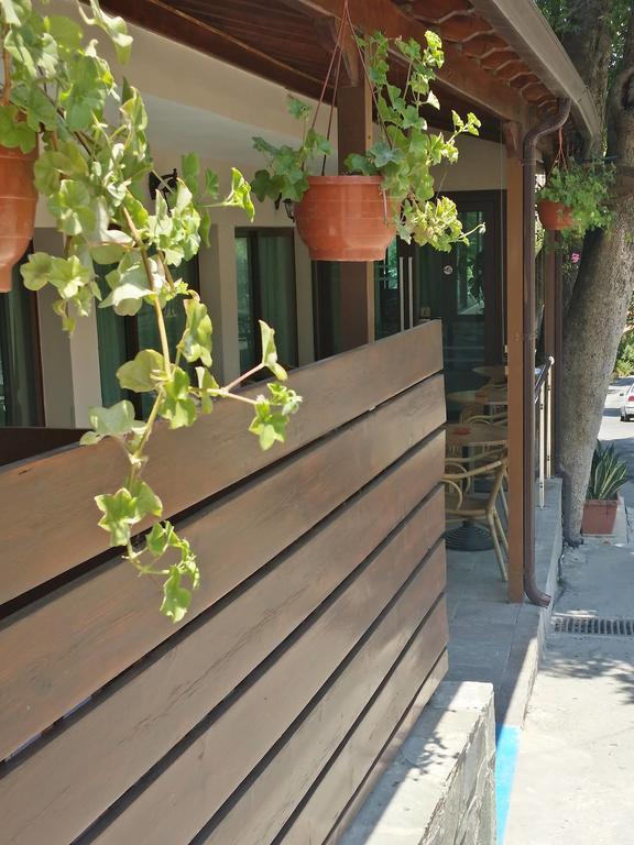 Minaides Hotel Kakopetriá Kültér fotó