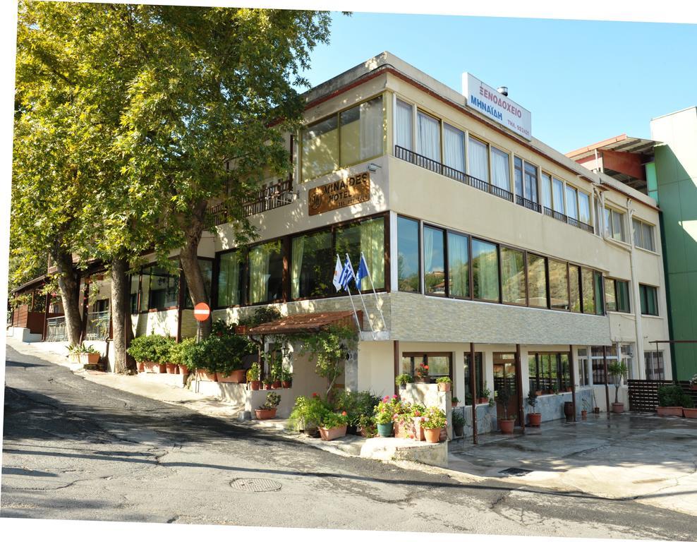 Minaides Hotel Kakopetriá Kültér fotó